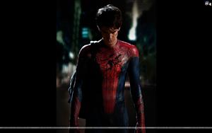 The Amazing Spider Man